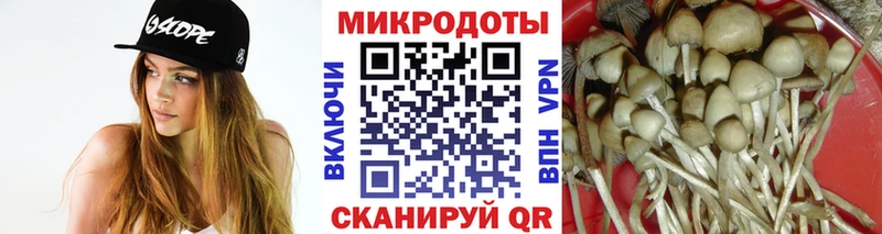 Галлюциногенные грибы прущие грибы  продажа наркотиков  Валдай 
